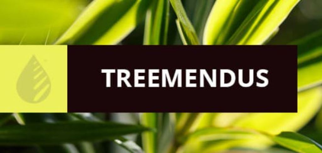 Treemendus Cover Image